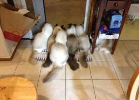 What does everyone see?